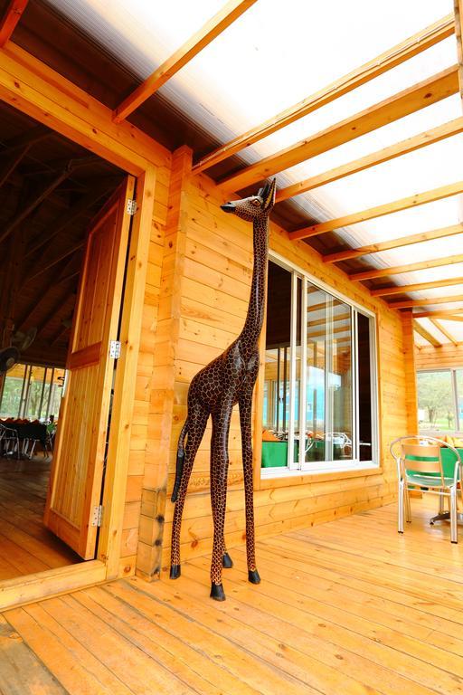 Jambo Mara Safari Lodge Ololaimutiek Bilik gambar