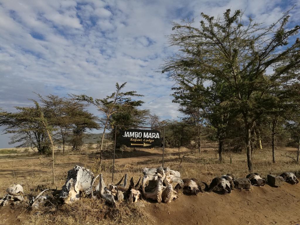 Jambo Mara Safari Lodge Ololaimutiek Luaran gambar