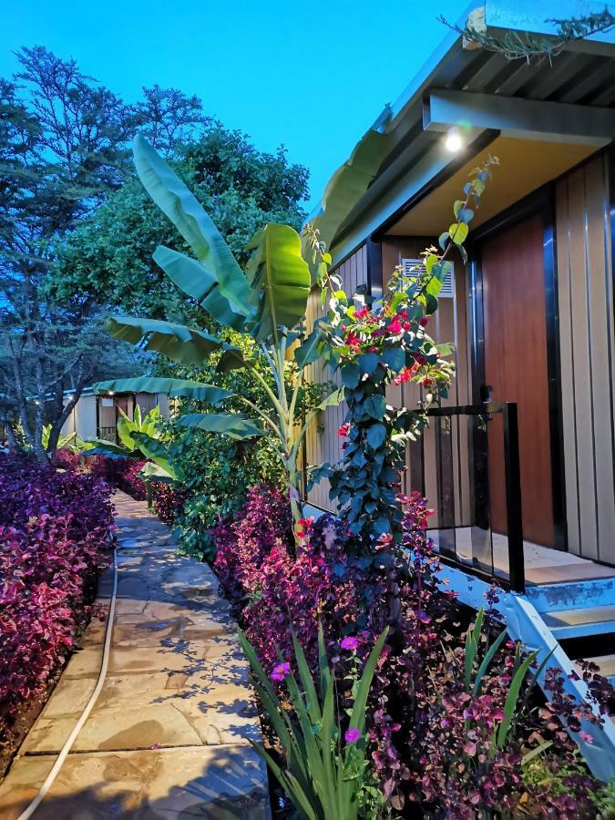 Jambo Mara Safari Lodge Ololaimutiek Luaran gambar