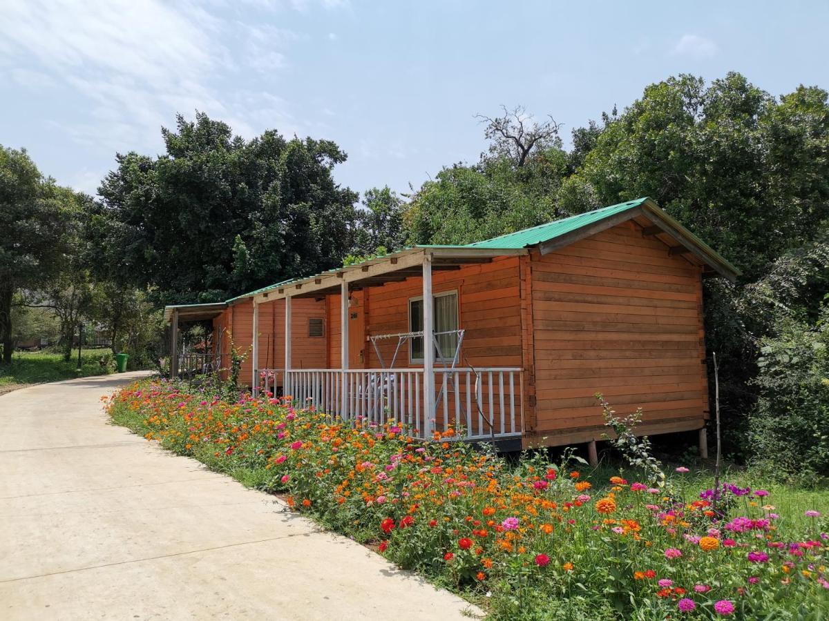 Jambo Mara Safari Lodge Ololaimutiek Luaran gambar